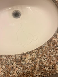 Hair in sink