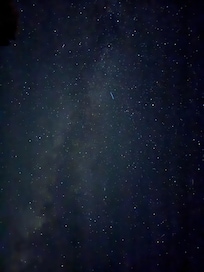 Front lawn looking up