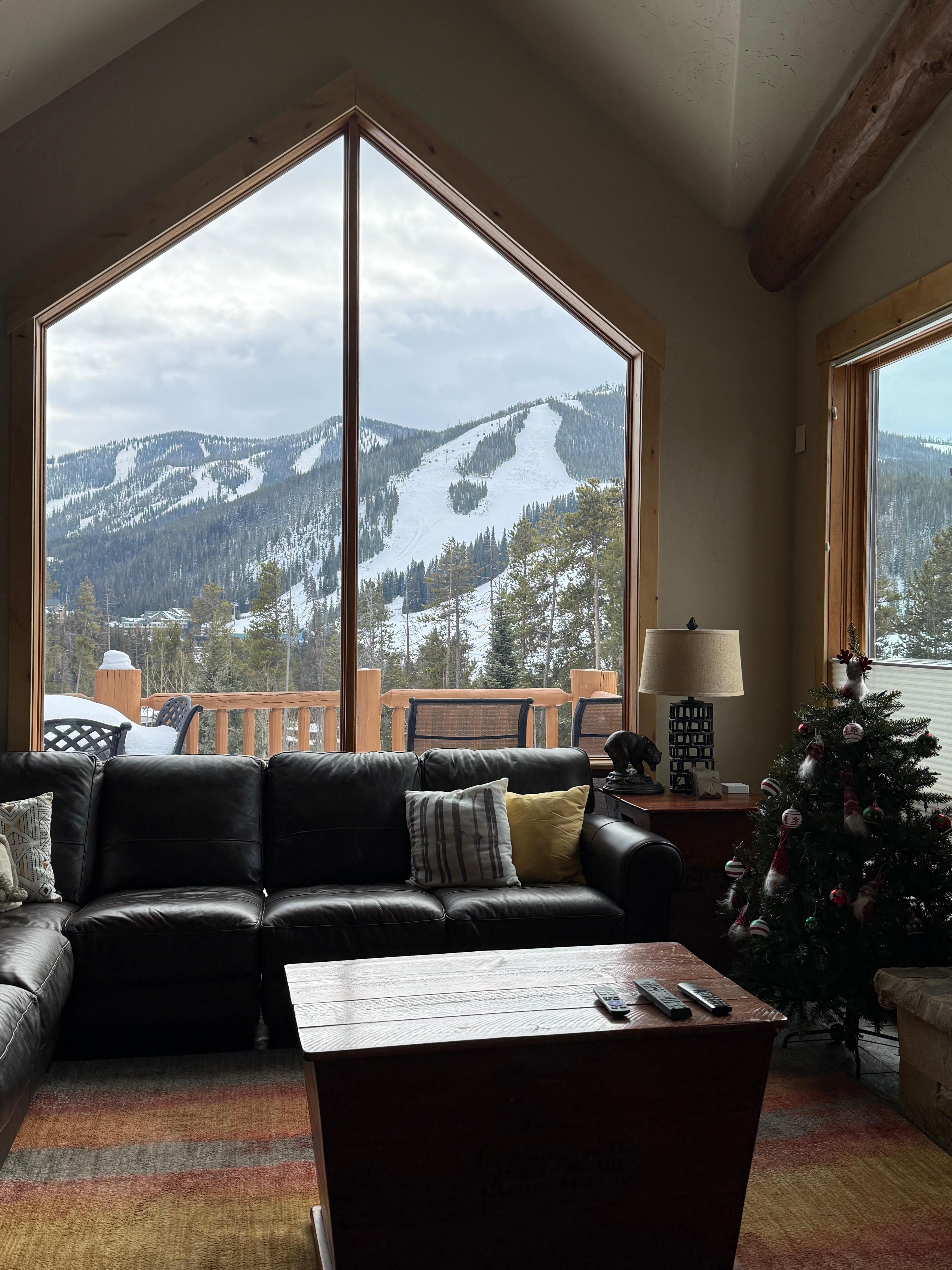 Perfect view! Exactly as described! 