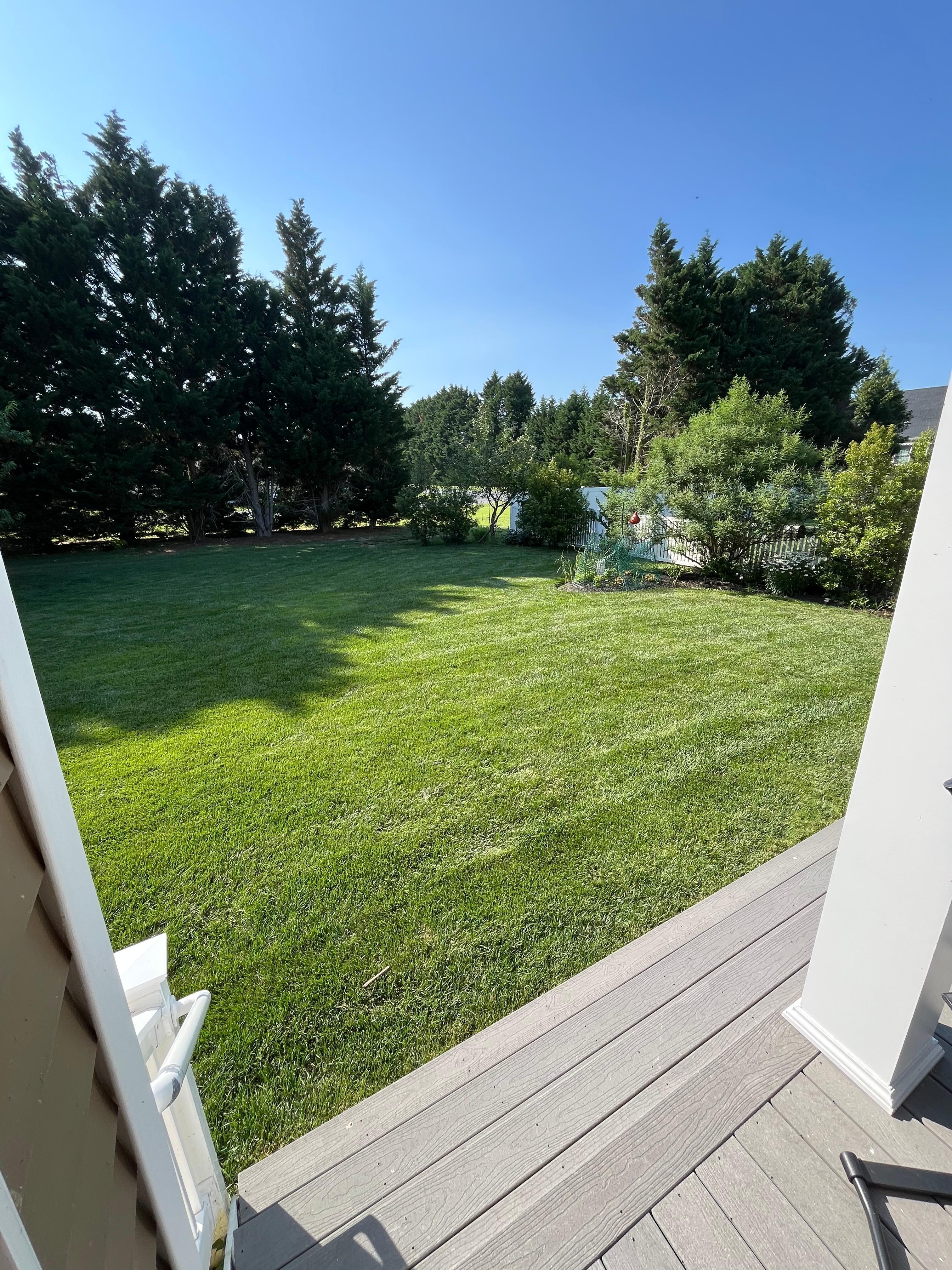 View while sipping coffee 