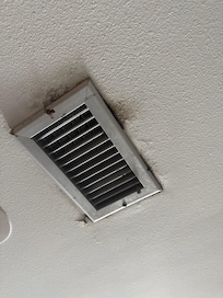Mold