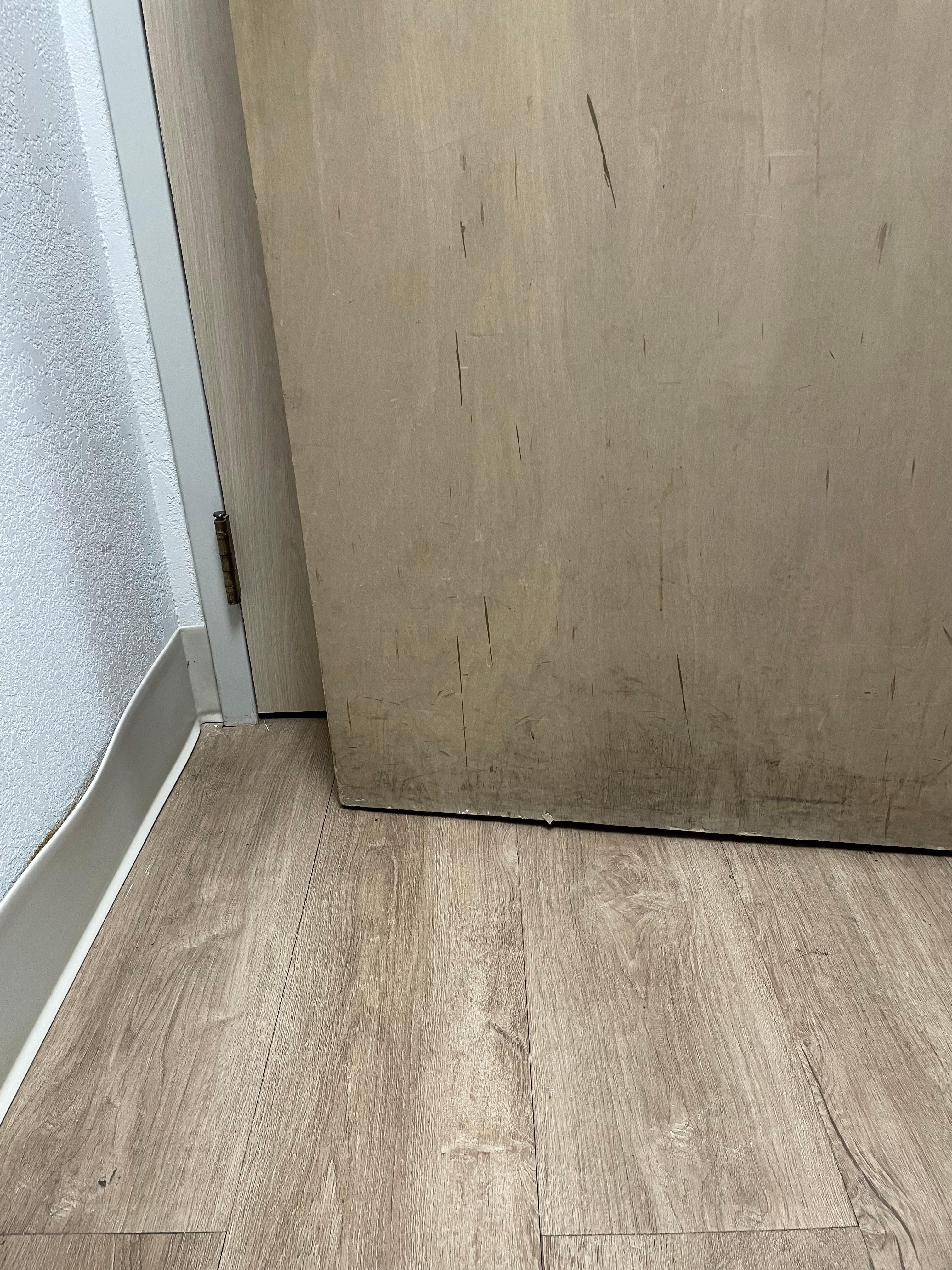water damage and mold on bottom of bathroom door and door jam