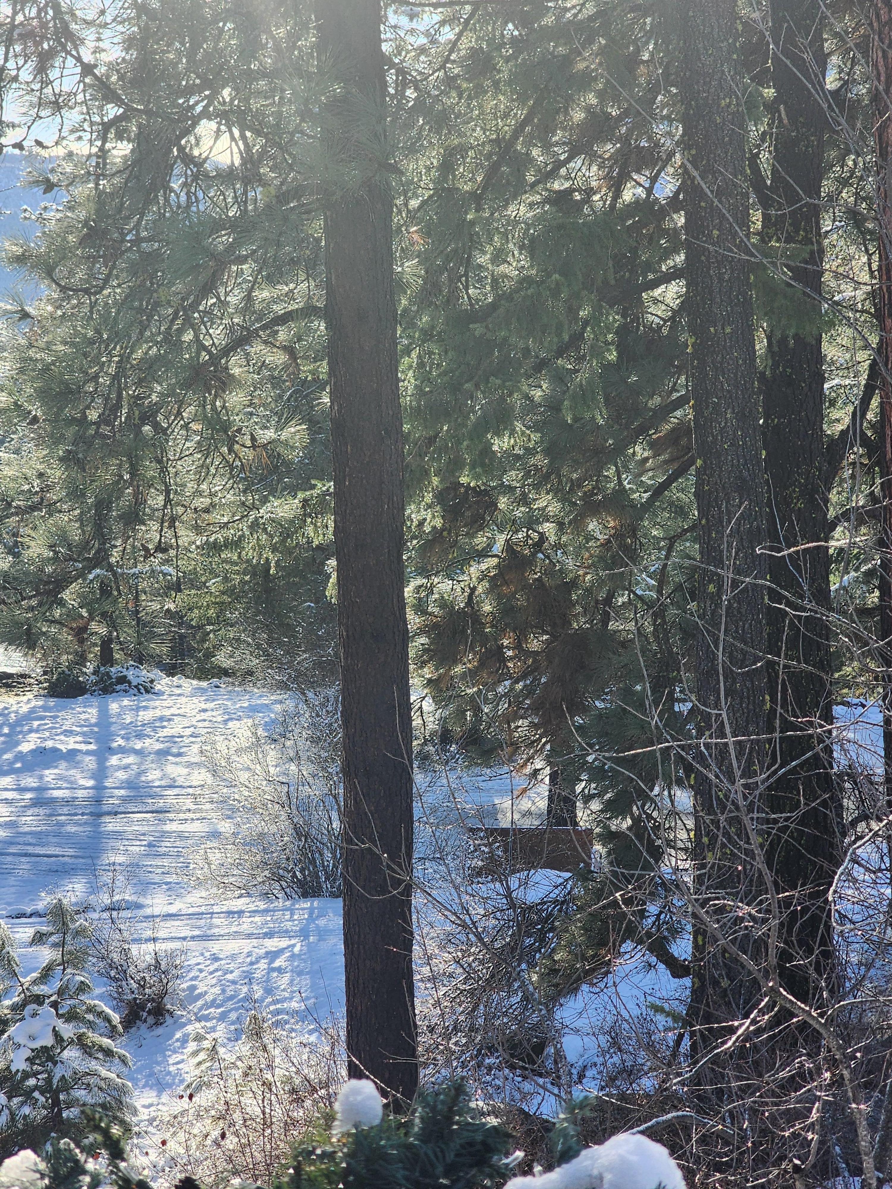 Beautiful river view