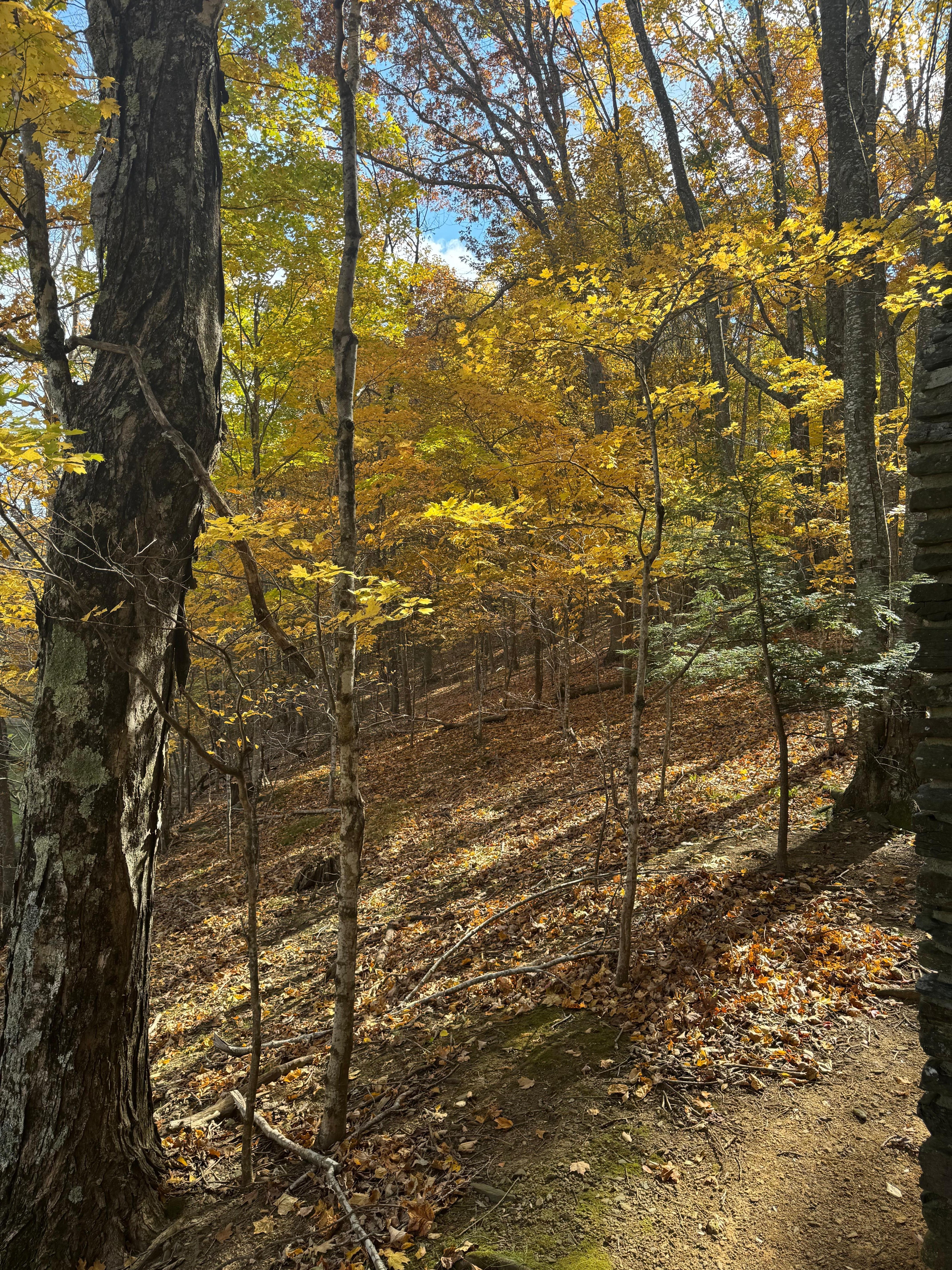 Another picture of the beautiful scenery.