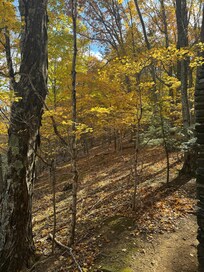 Another picture of the beautiful scenery.