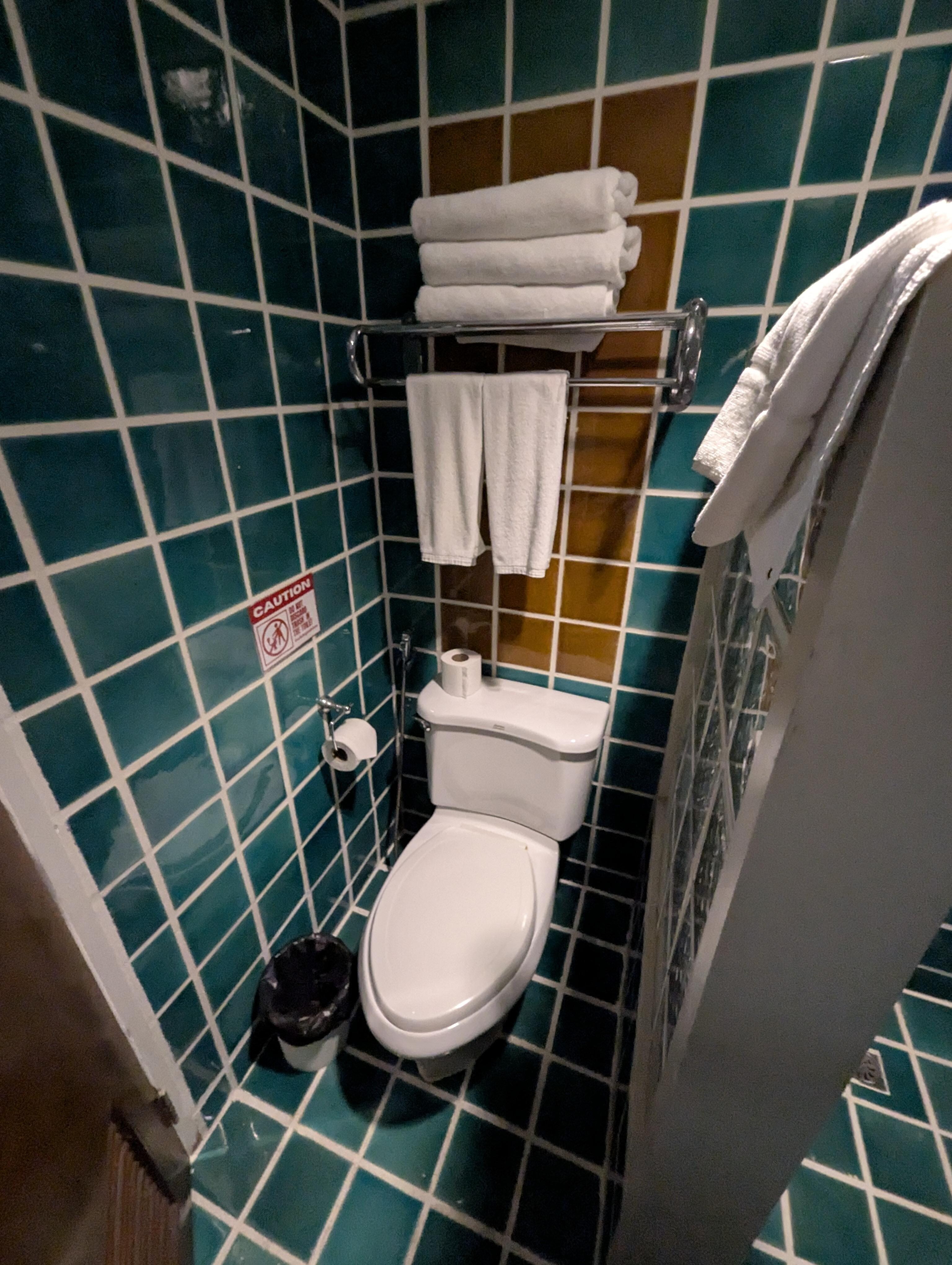 WC mit angrenzender Dusche