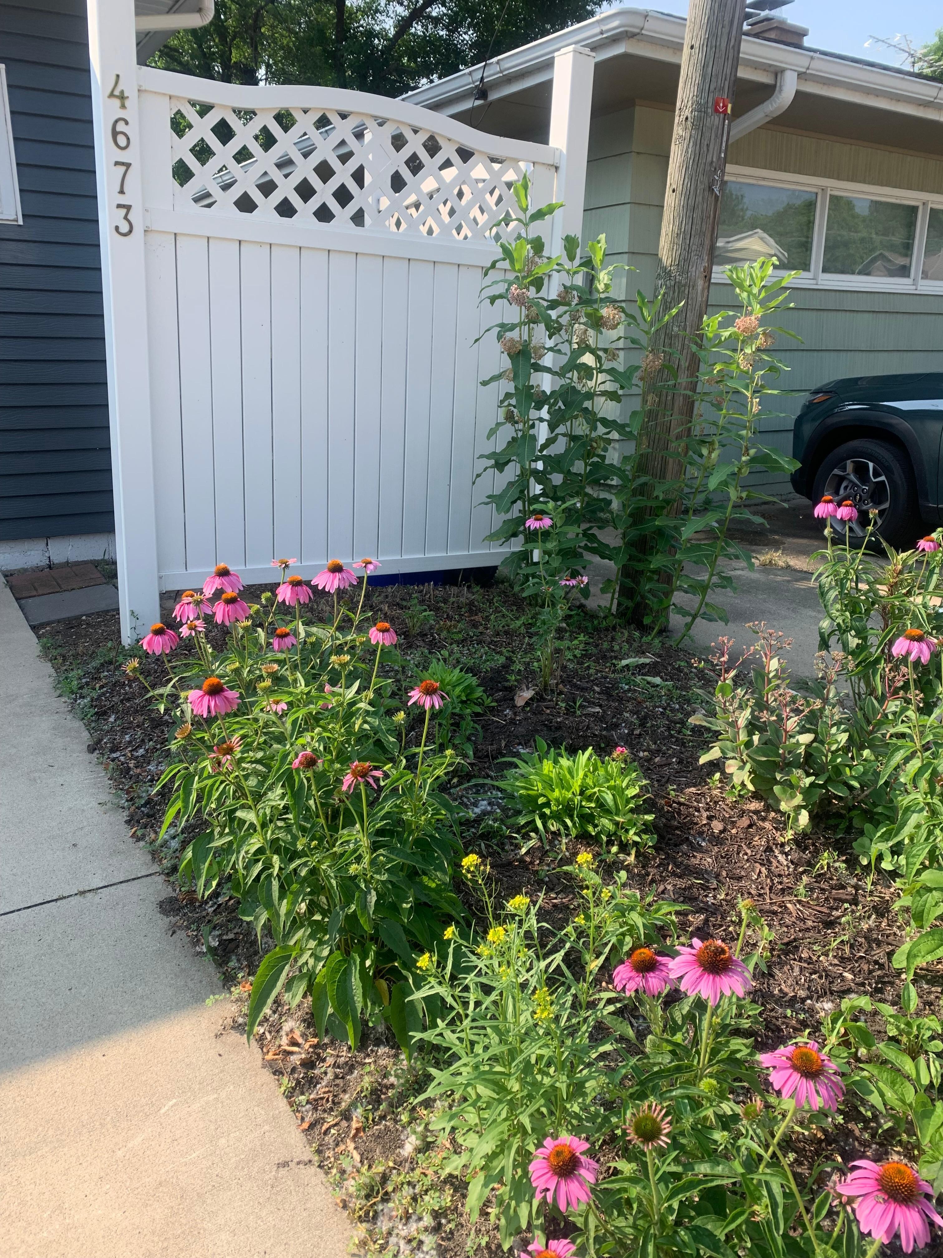 Someone likes the flowers…ME!