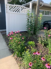 Someone likes the flowers…ME!