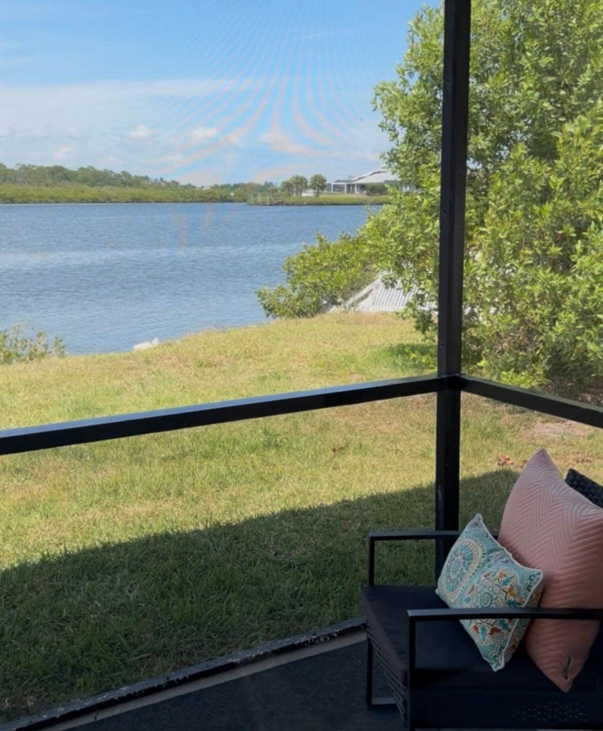 Backyard view 