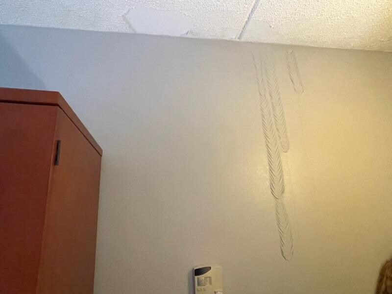 Paint Peeling in main sleeping area