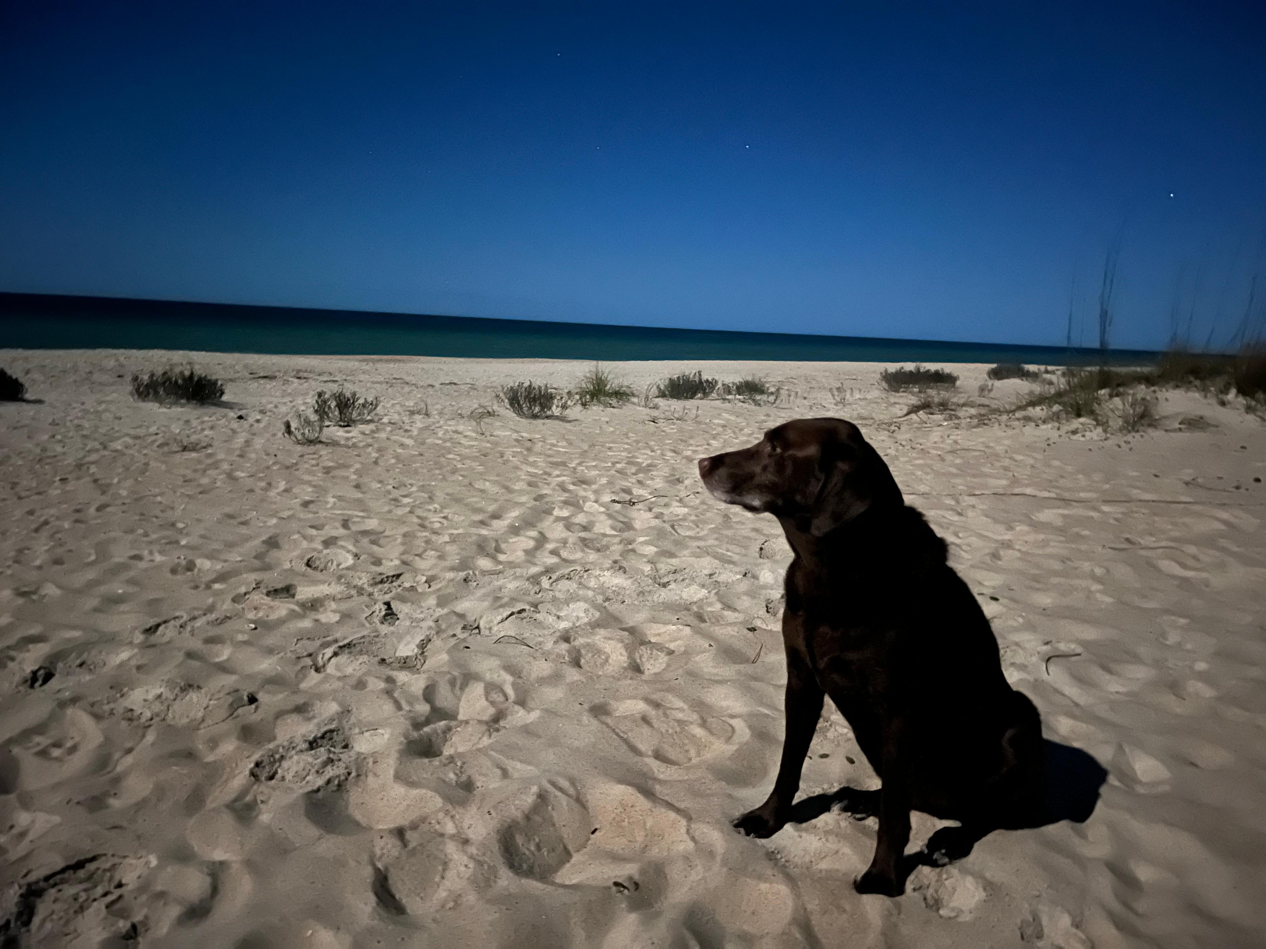Full moon on the beach 