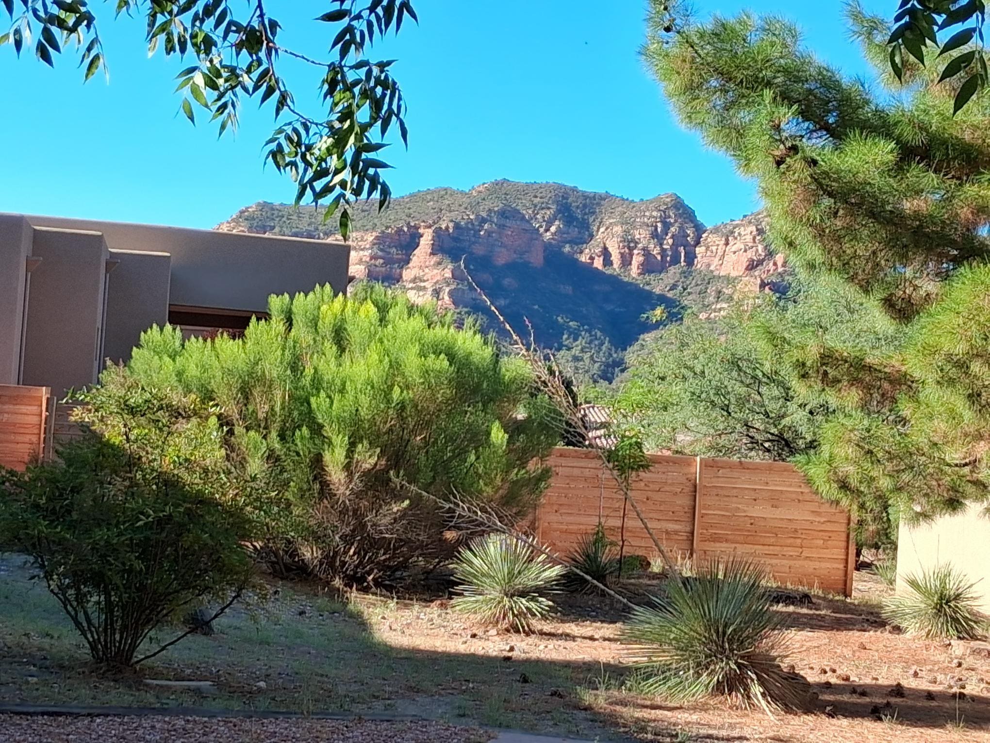 The view from the backyard while enjoying a cup of coffee.  Breathtaking!