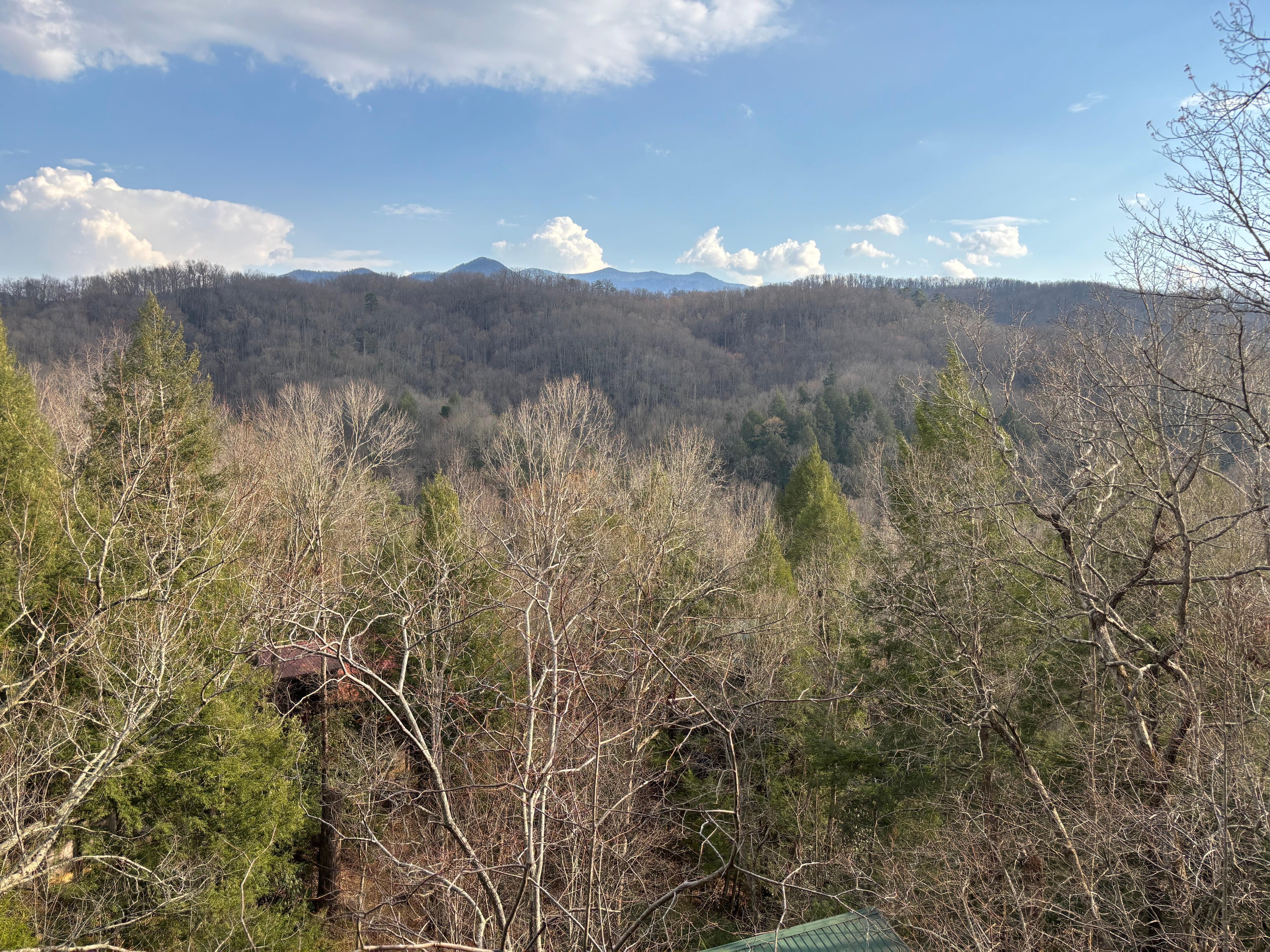 View from deck in March