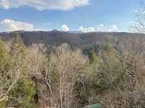 View from deck in March