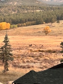 Looking out the front window