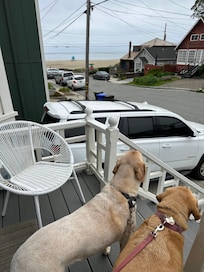 So close to the beach!