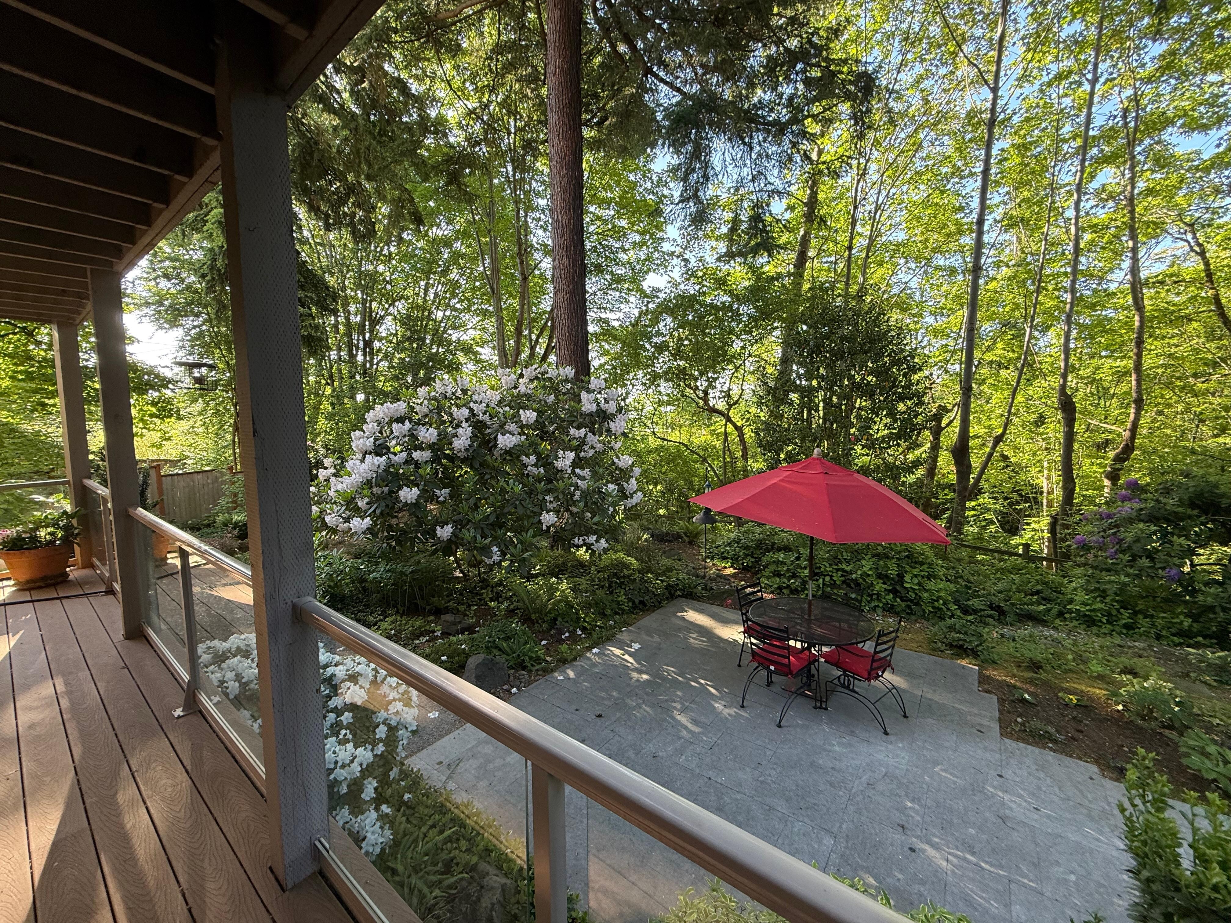 Enjoyed breakfast on the deck  overlooking the backyard -with Rhododendrons in full bloom! 