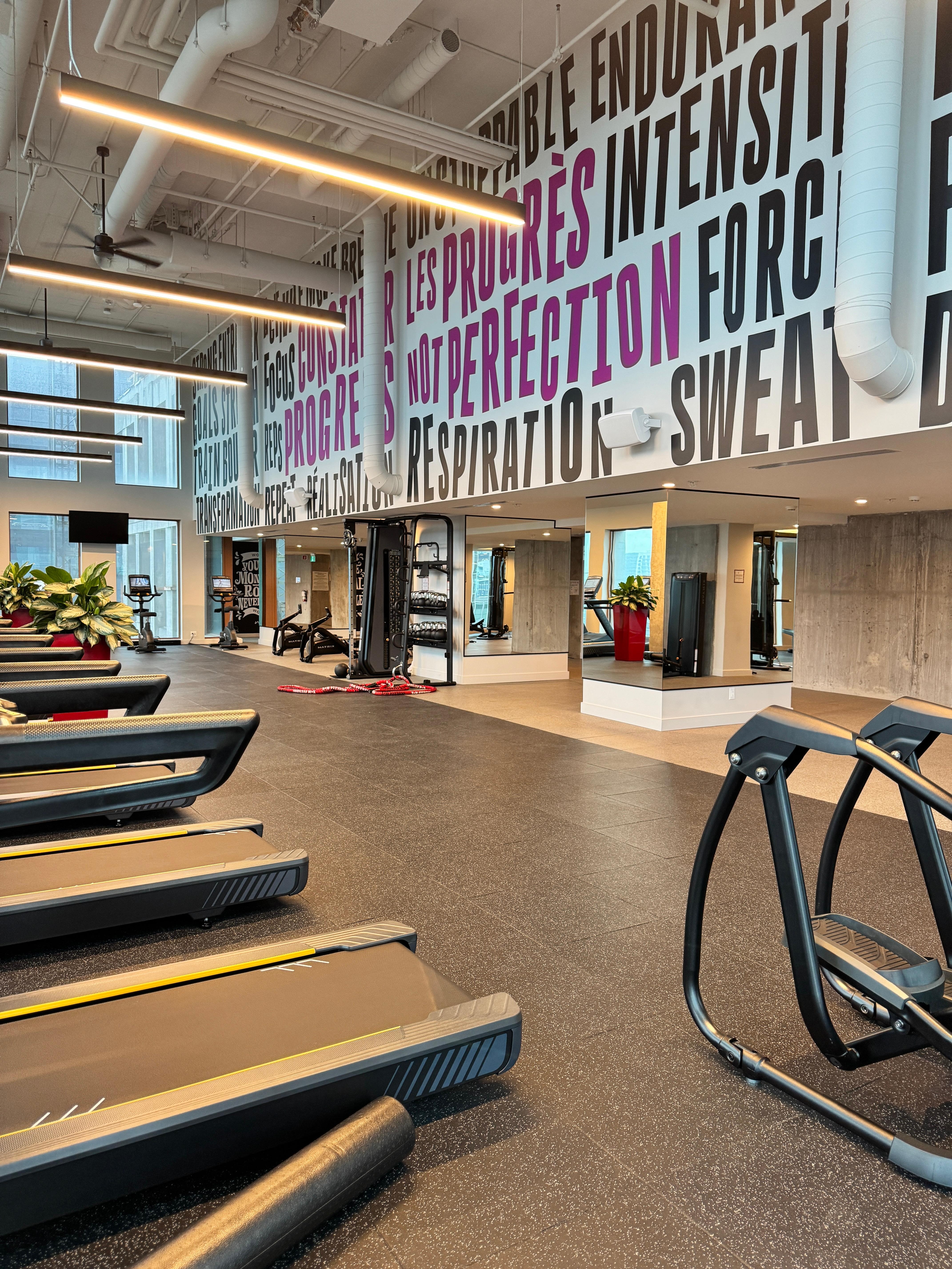 Stunning, clean gym