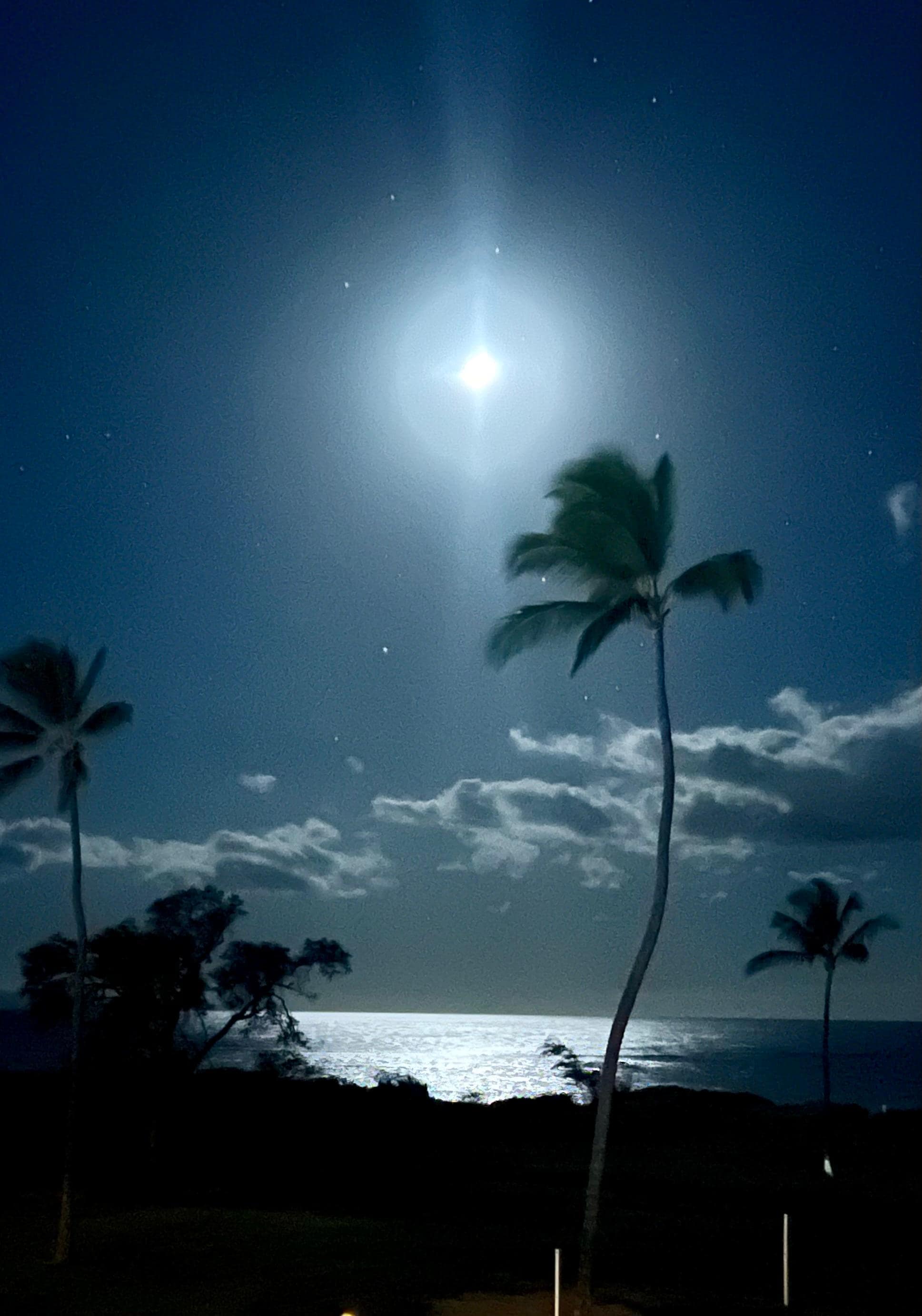 Even beautiful at night from the lanai.