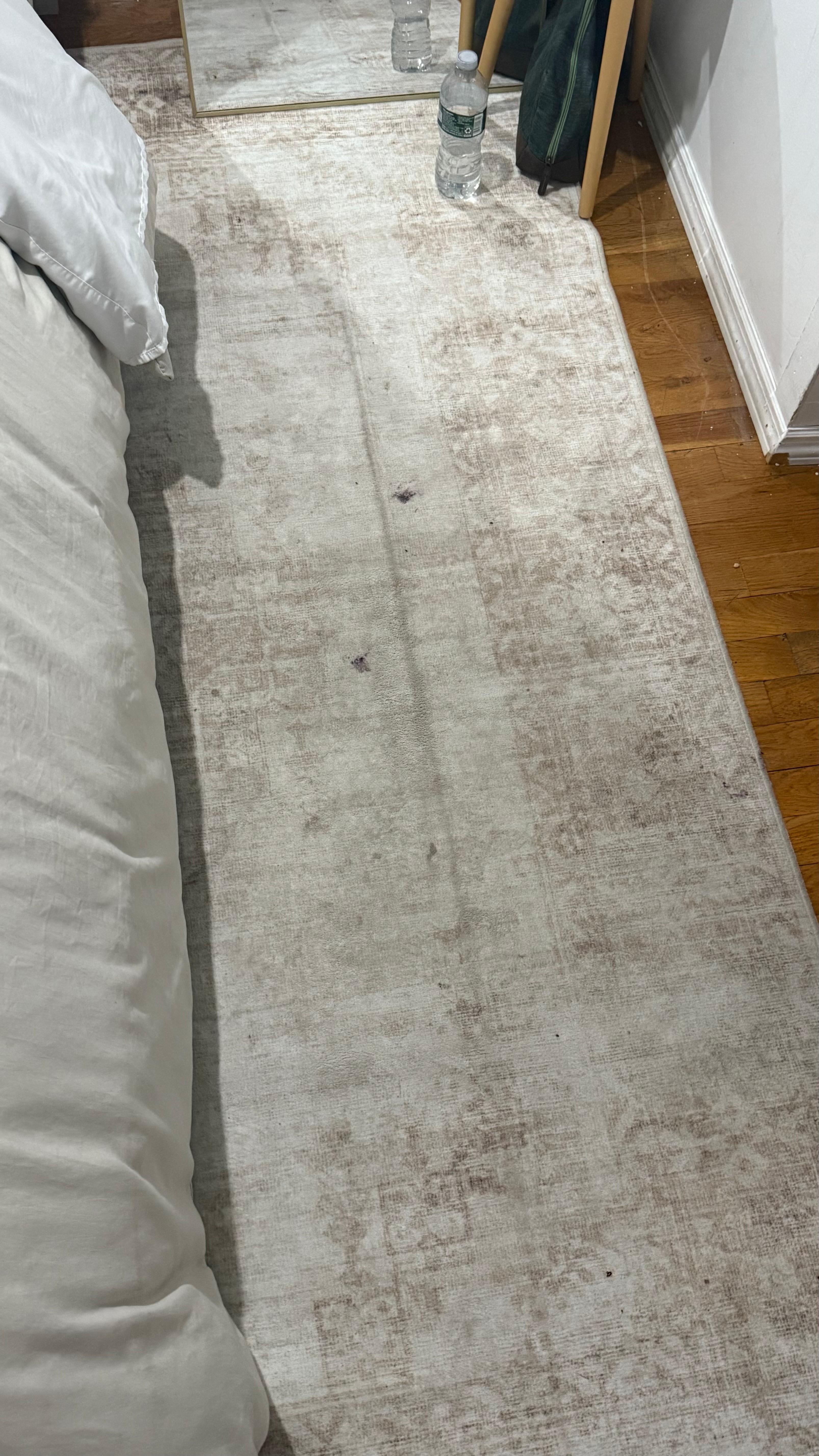 Dirty rug in main room