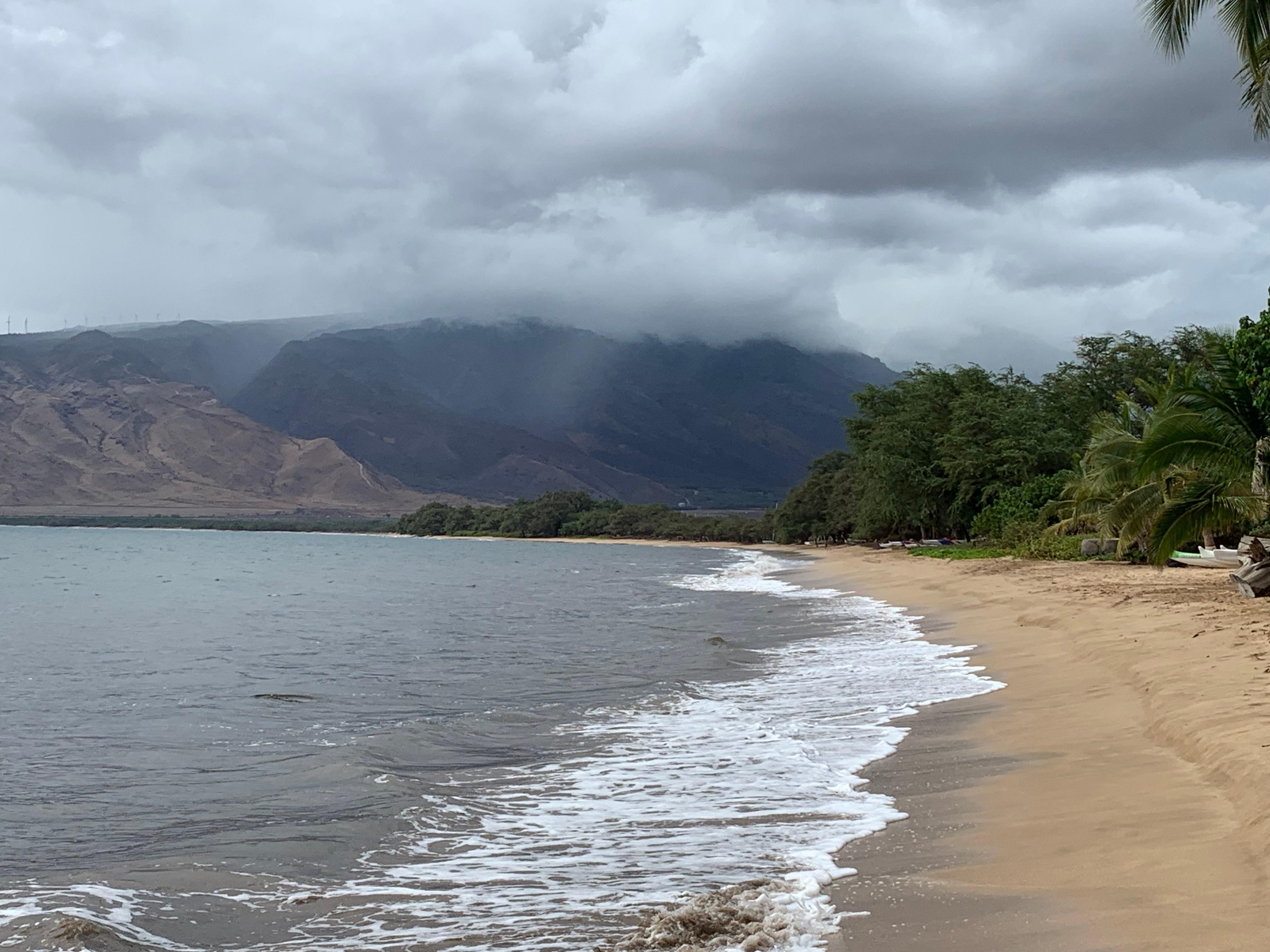 Looking north from the beach below