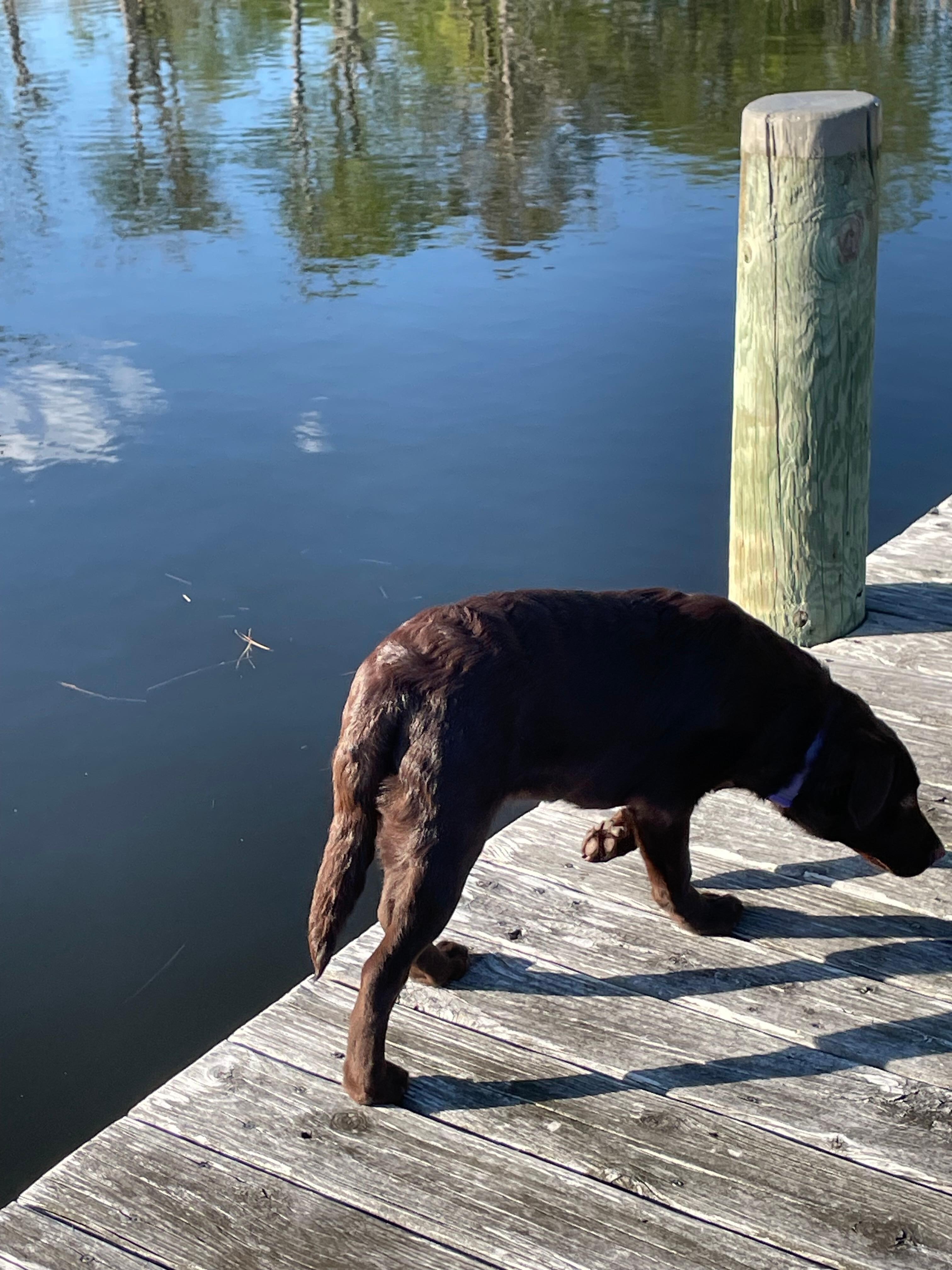 She actually jumped in the water 
