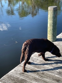 She actually jumped in the water