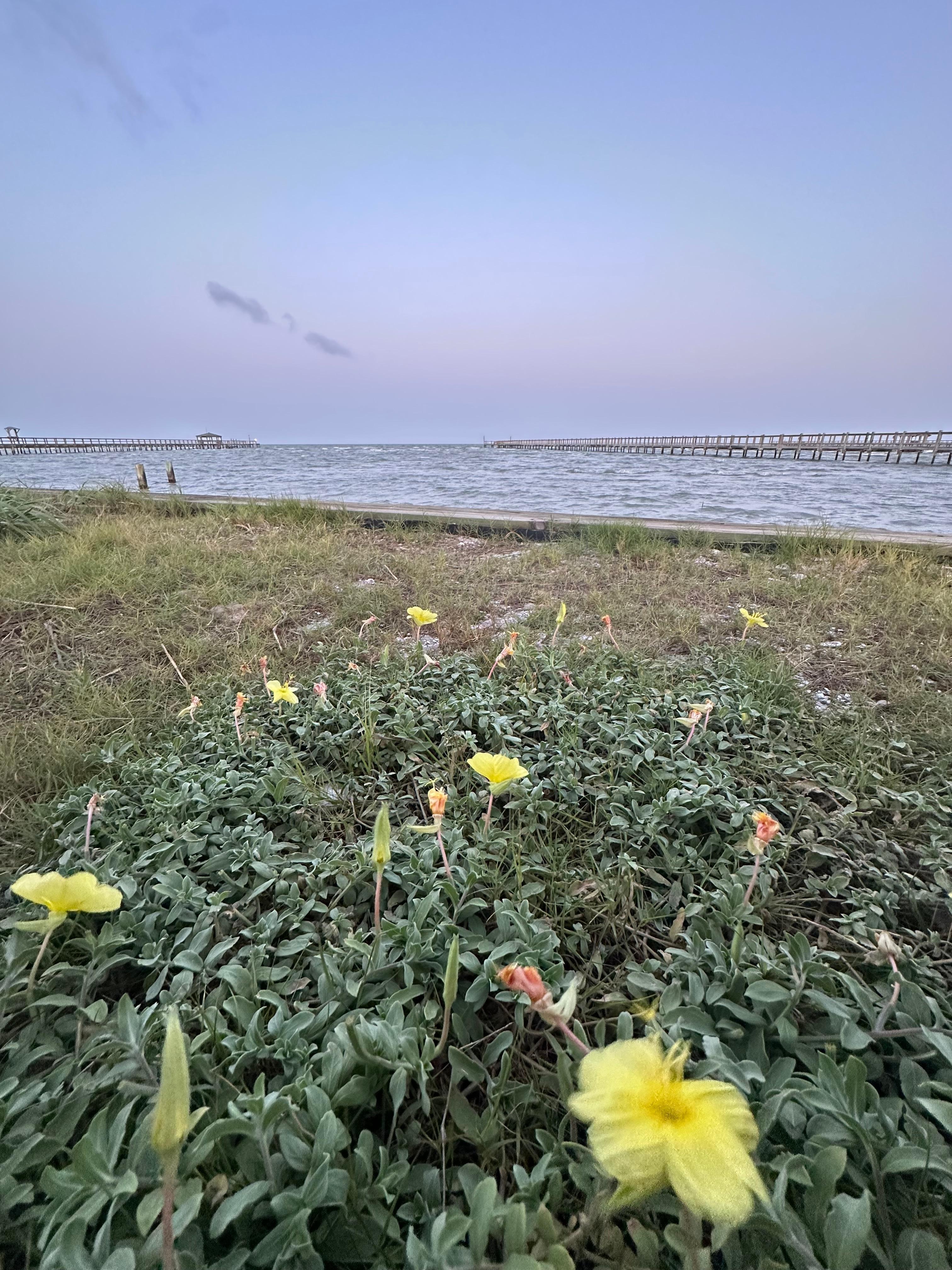 View from gazebo at private pier. 