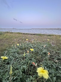View from gazebo at private pier.