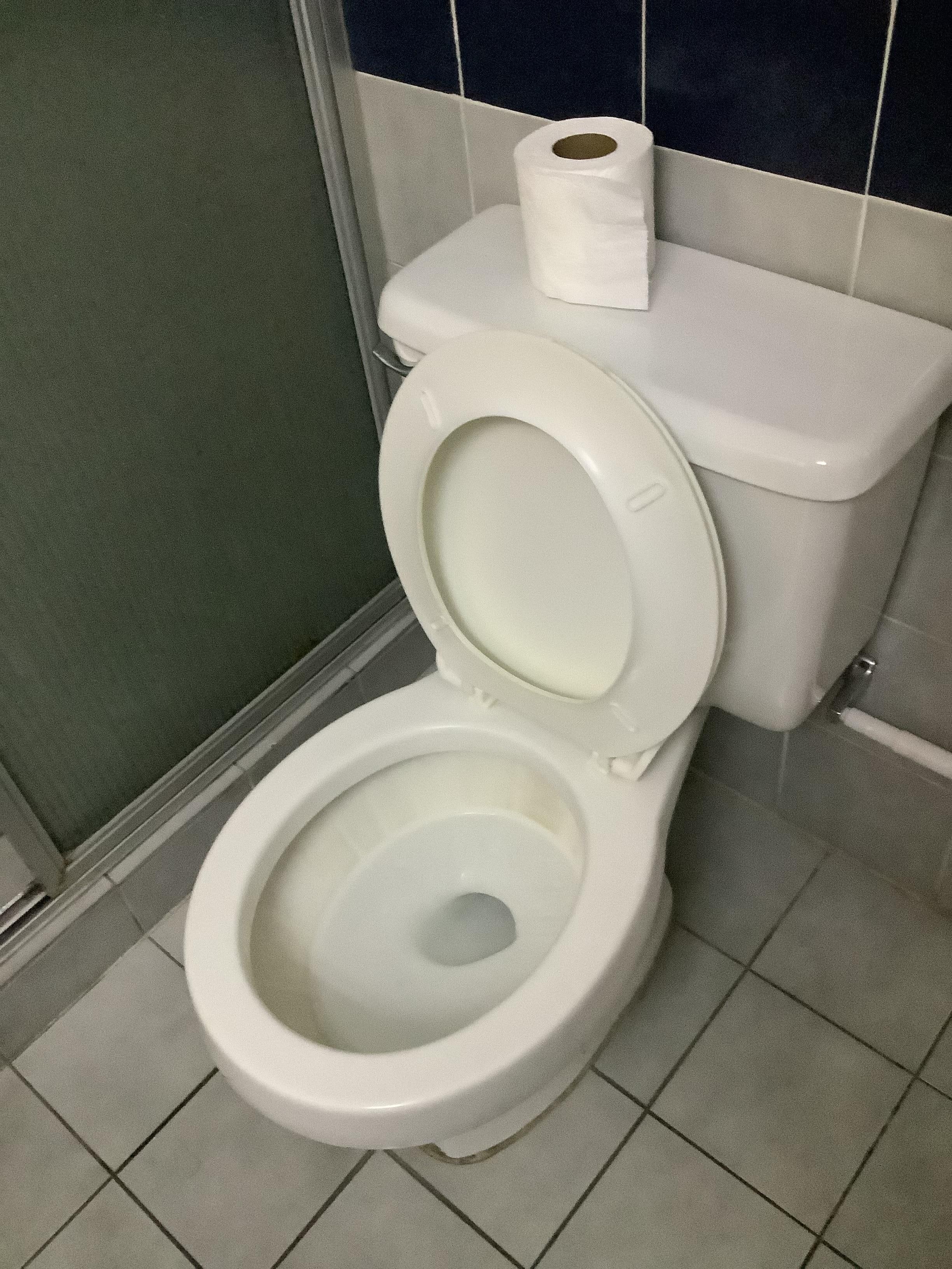 One roll of toilet paper…