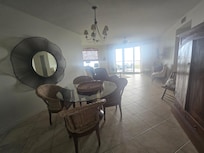 Our first view of the condot