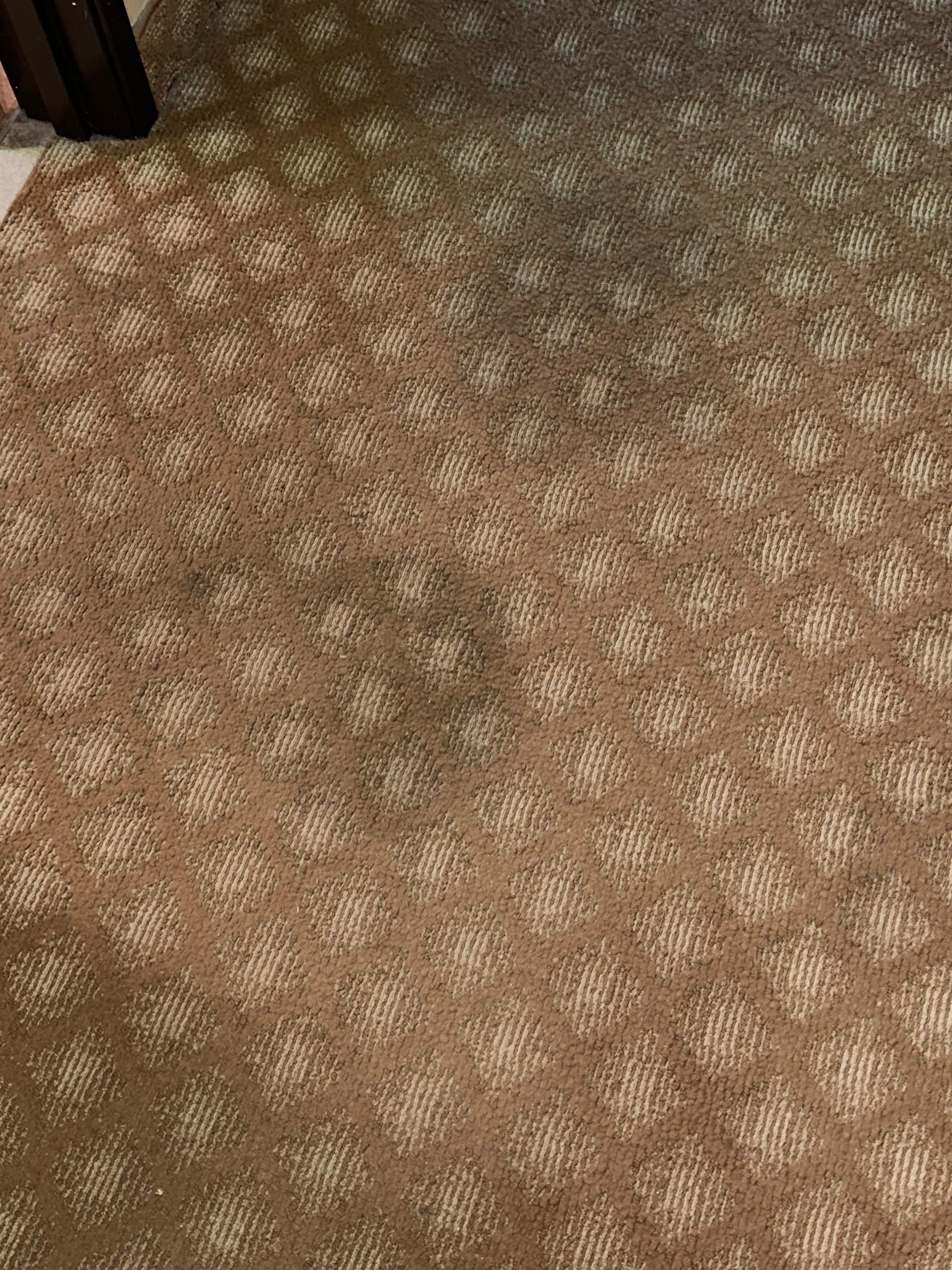Stains in the room carpet. Room has a bad odor 