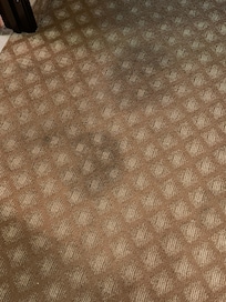 Stains in the room carpet. Room has a bad odor