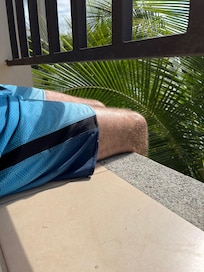 6 foot tall adult sitting under railing.