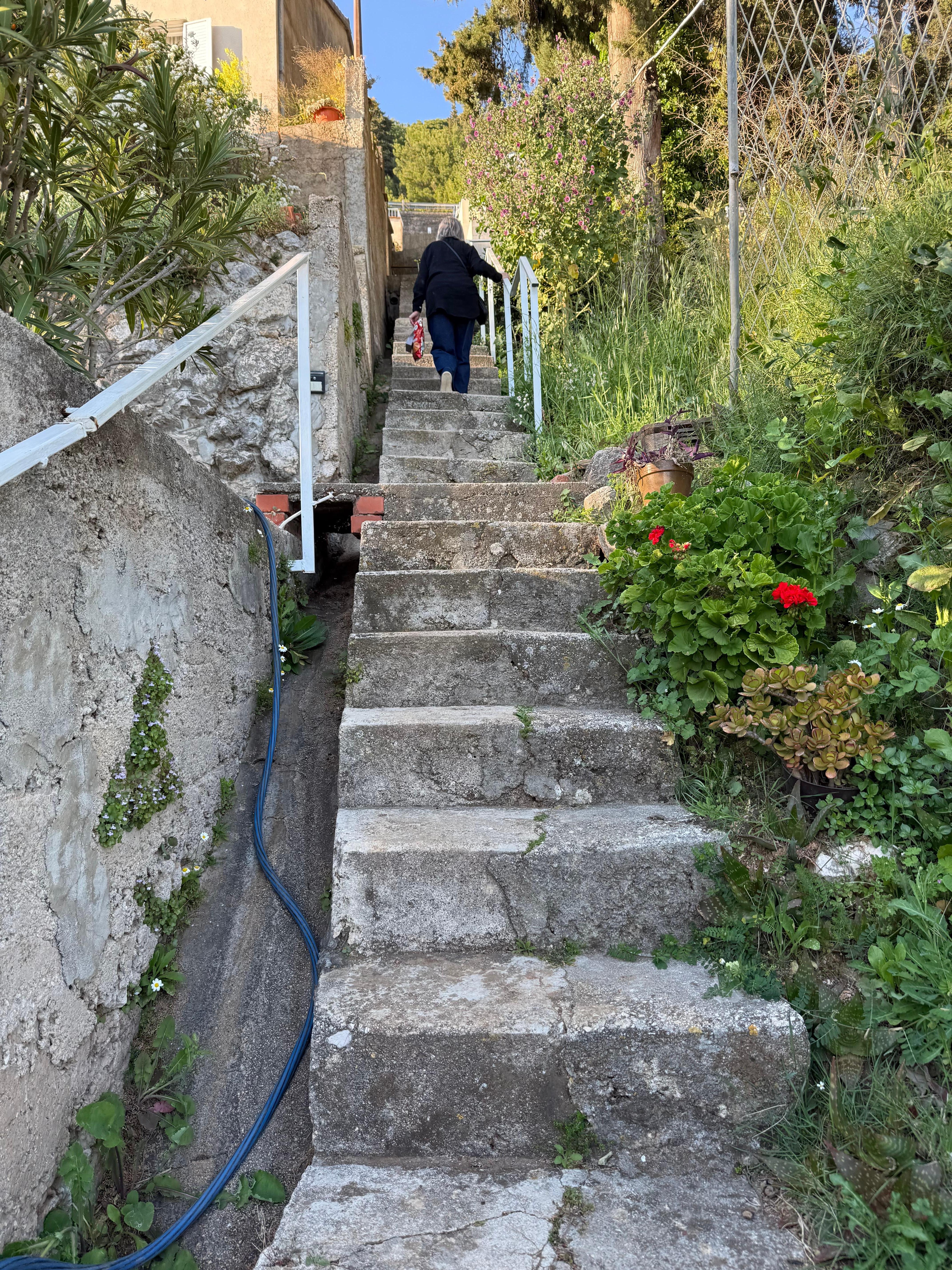 The stairs!