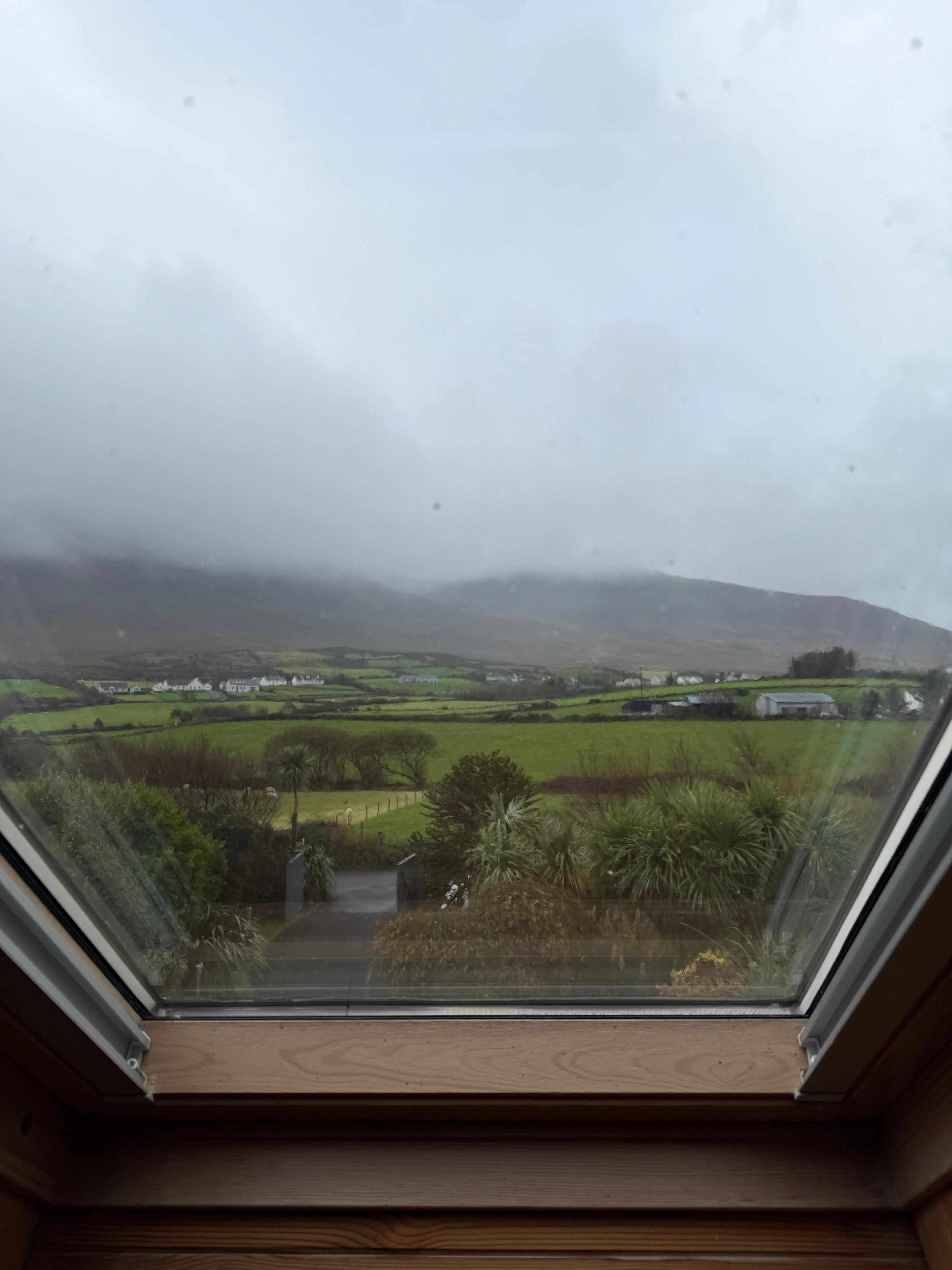 Picture out the window