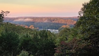 Leaves have not changed yet. This is the sunrise shining upon the tree tops.