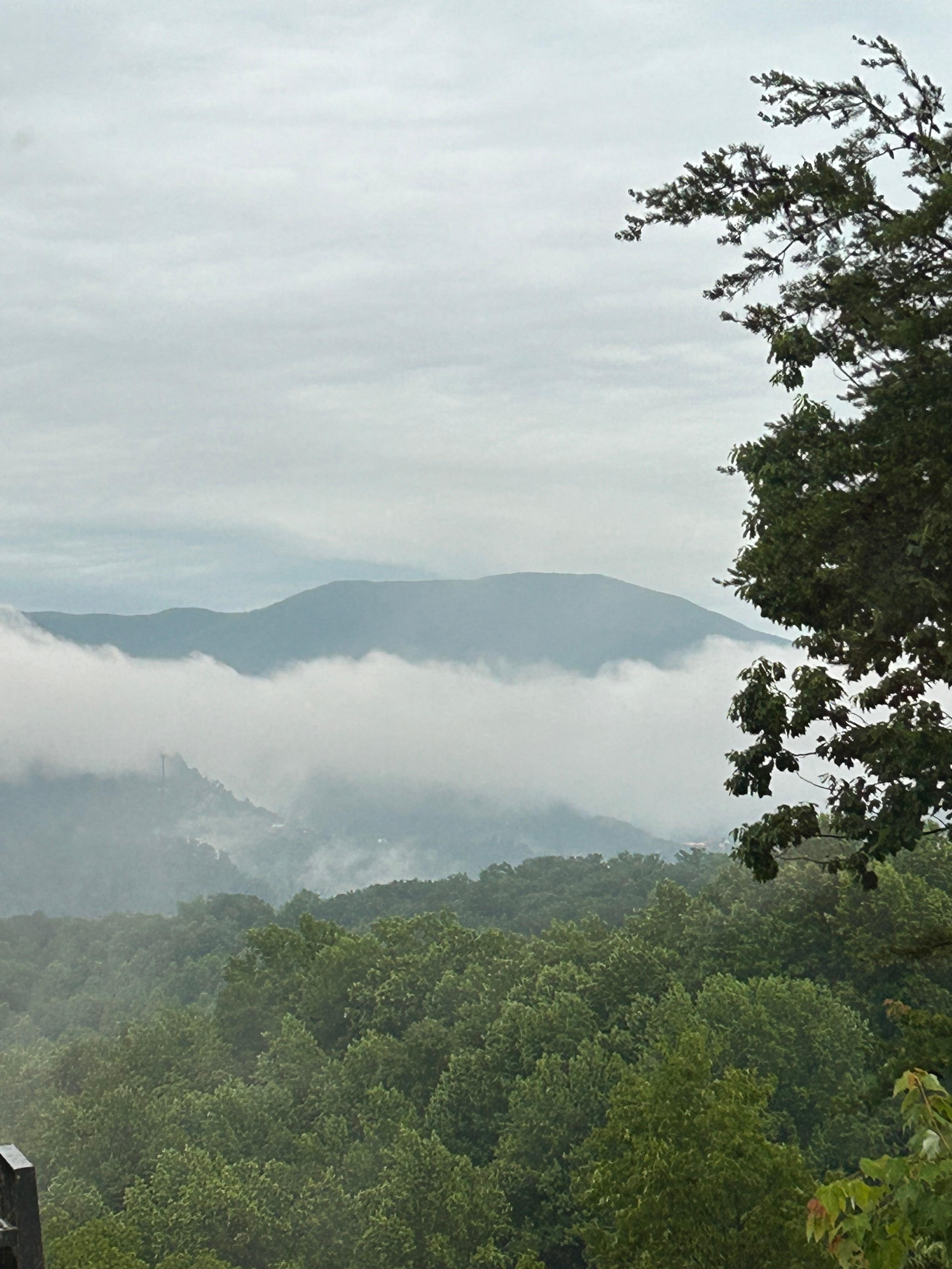 Photo from the porch 