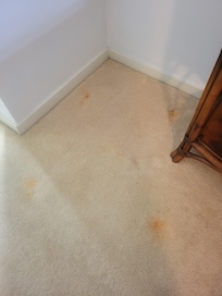 Master bedroom just one of many stains, red/brown and alot black spots
