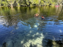 Snorkel right out of the backyard