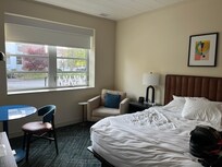 A lot of natural light.