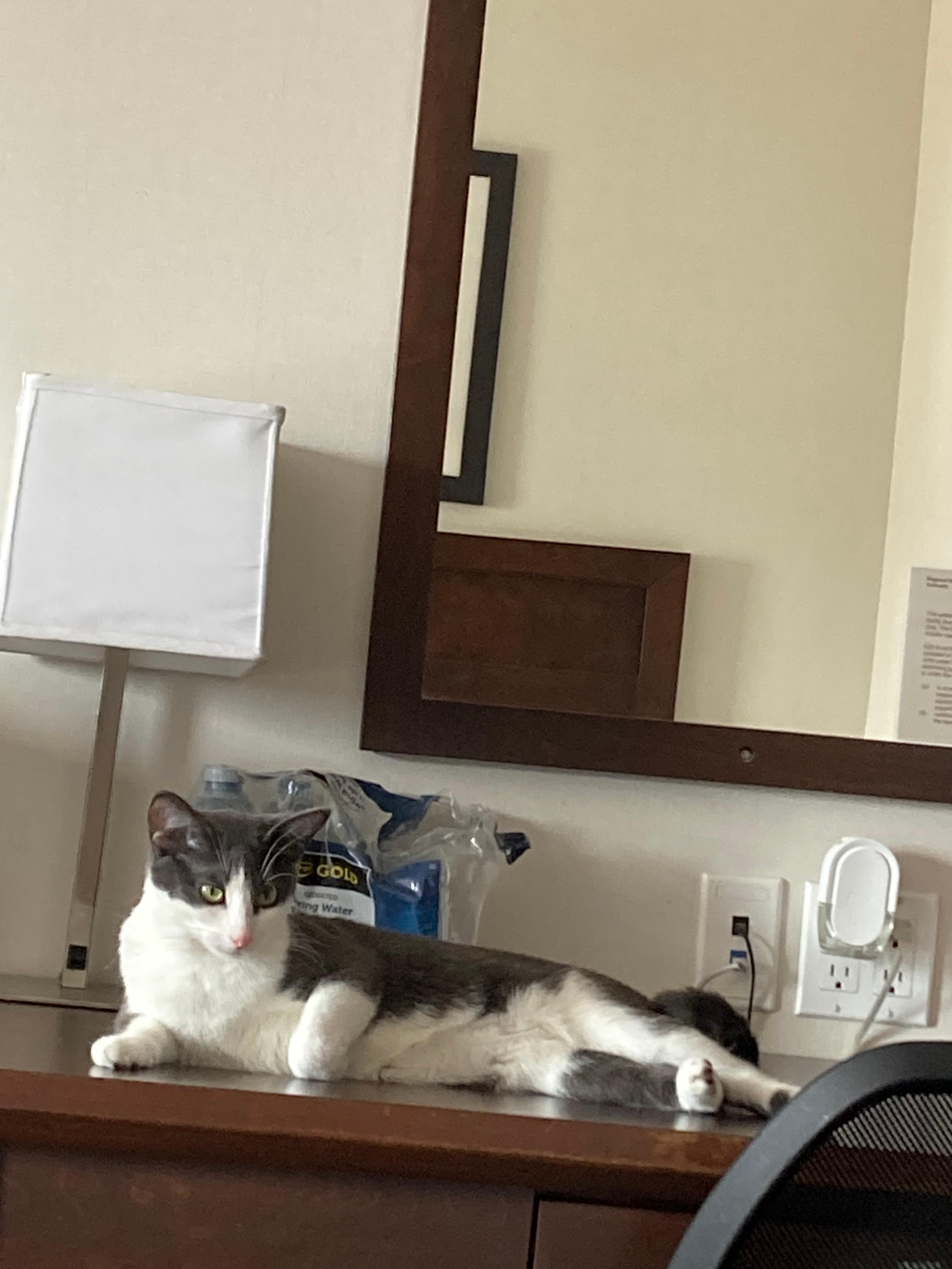 Buchie says thanks for taking such good care of us