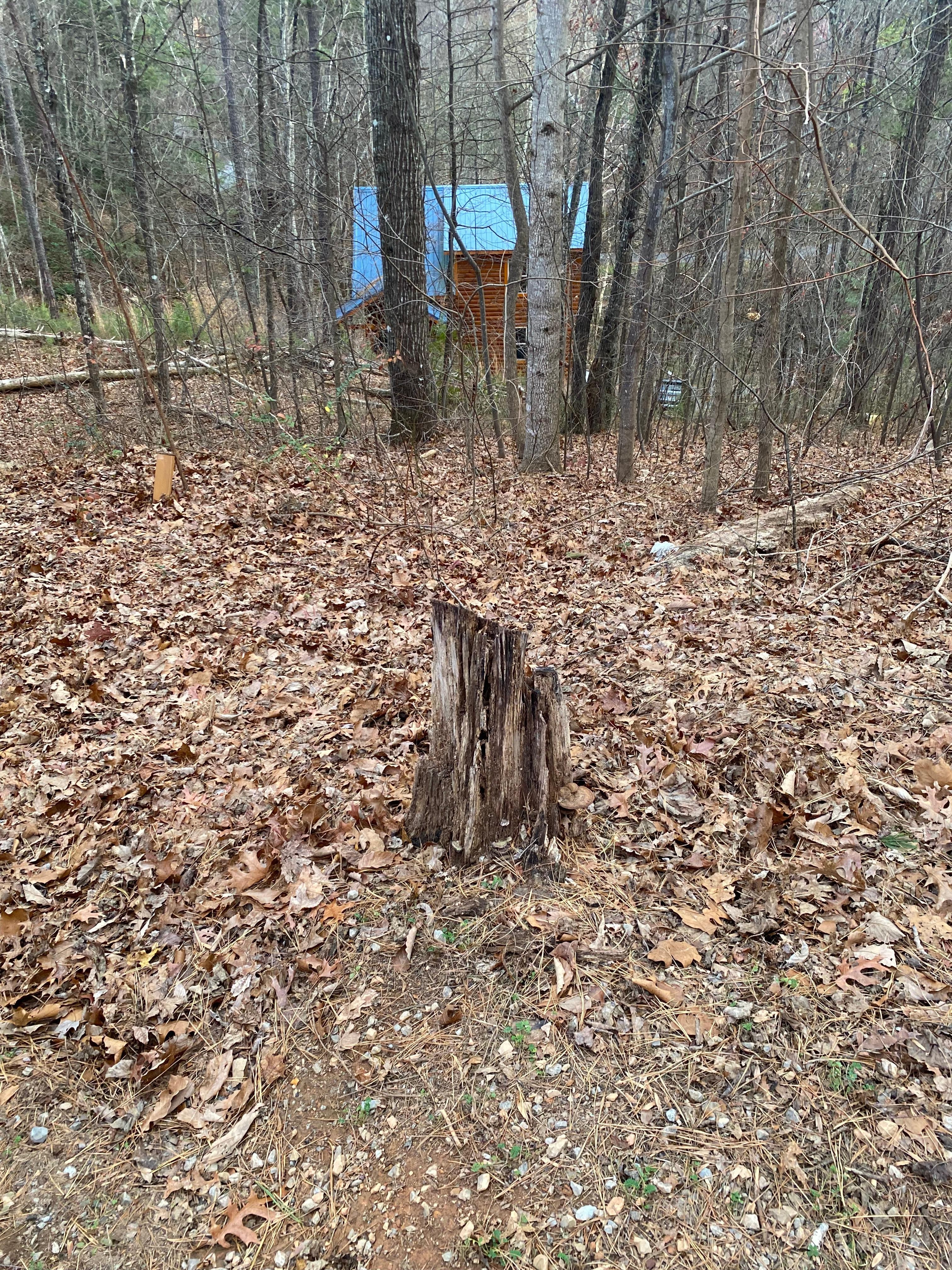 Beautiful property views