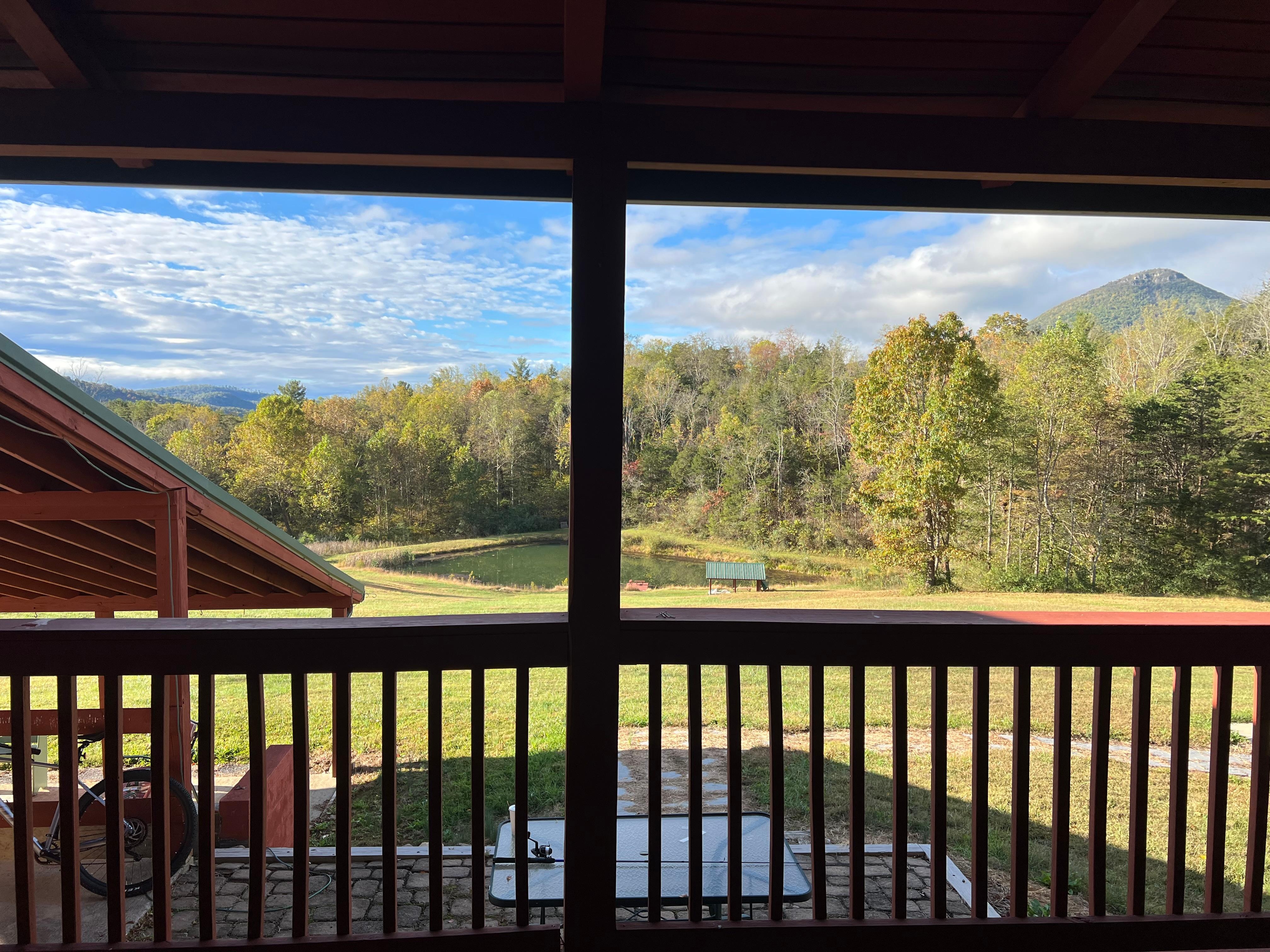 View from back porch