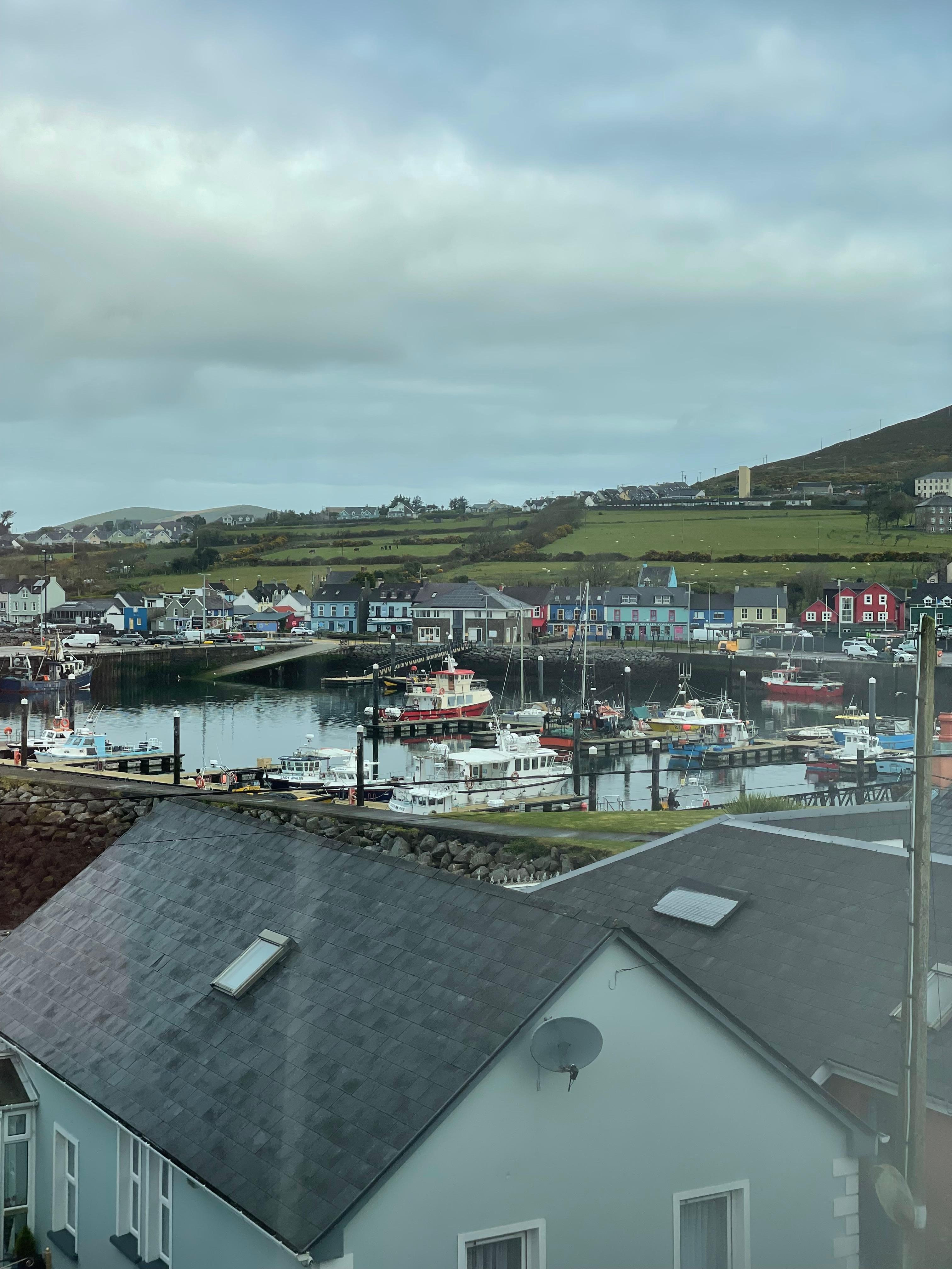 View from living room 