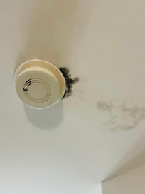 Mold