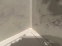 Pink mold in shower