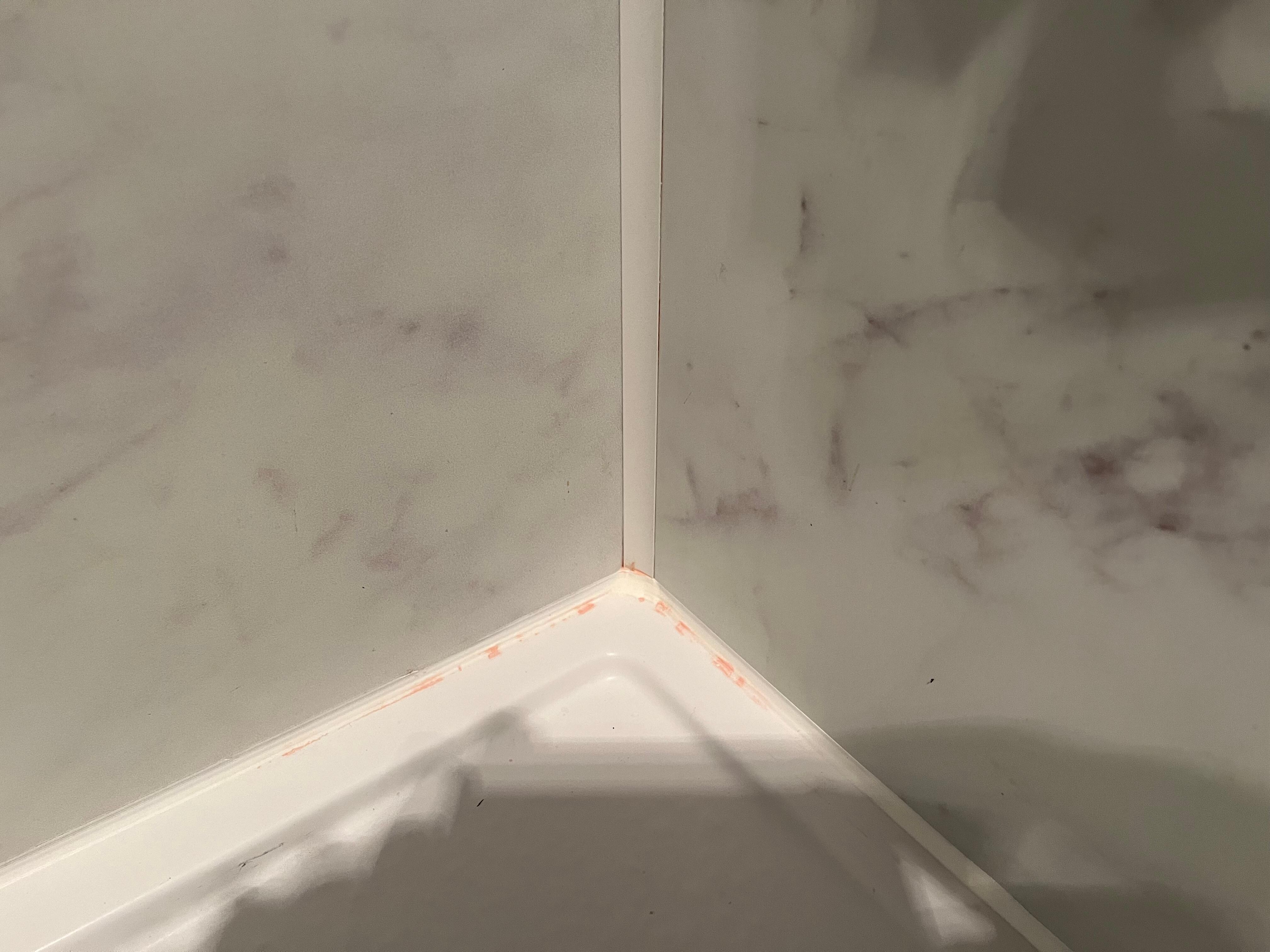 Pink mold in shower