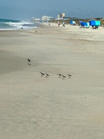 Beautiful, clean, uncrowded beach!