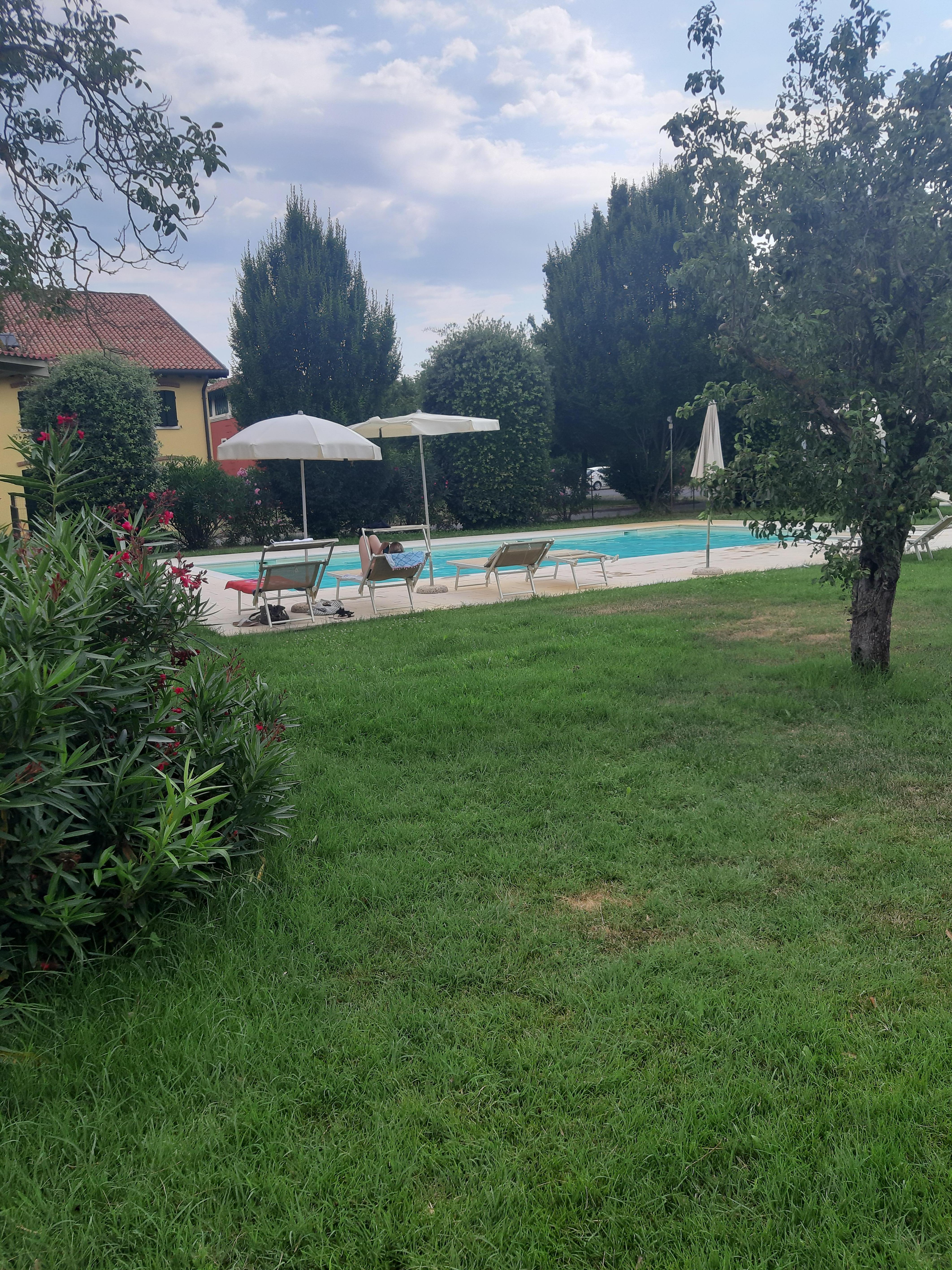 Pool von der Gartenseite aus gesehen 